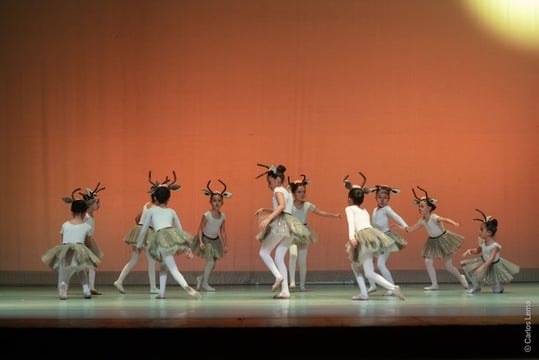 img-galeria-12-ballet