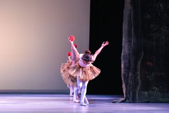 img-galeria-19-ballet