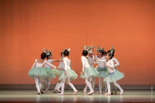 img-galeria-9-ballet
