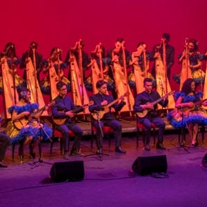 Los Sonidos Del Arpa Engalanan Los Grandes Escenarios De Bogotá